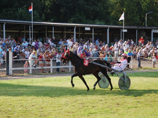 Clingendael